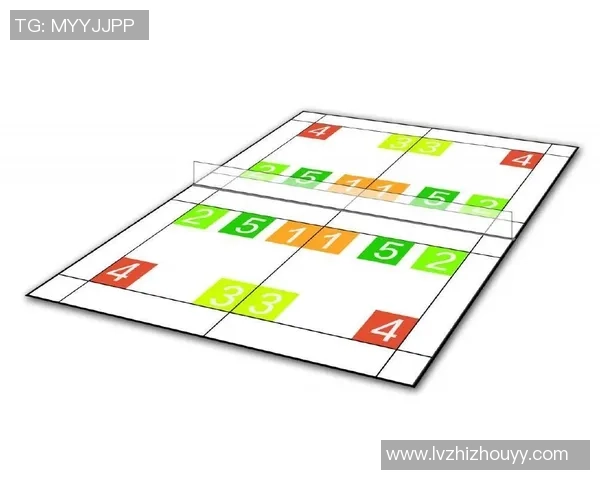 南京羽毛球队灵活性研究：战术调整与运动员适应能力的深度分析